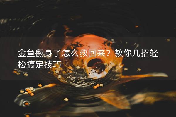 金鱼翻身了怎么救回来？教你几招轻松搞定技巧