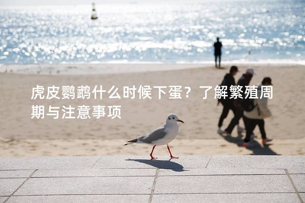 虎皮鹦鹉什么时候下蛋？了解繁殖周期与注意事项