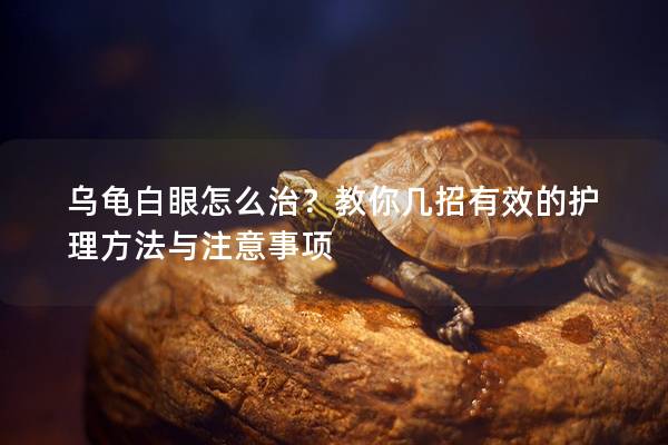 乌龟白眼怎么治？教你几招有效的护理方法与注意事项