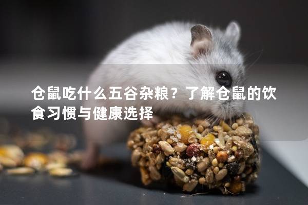 仓鼠吃什么五谷杂粮？了解仓鼠的饮食习惯与健康选择