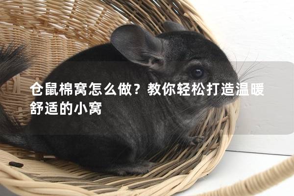 仓鼠棉窝怎么做？教你轻松打造温暖舒适的小窝