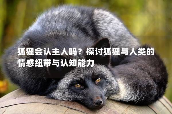 狐狸会认主人吗？探讨狐狸与人类的情感纽带与认知能力