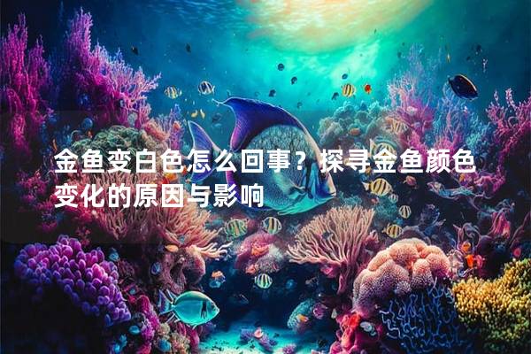 金鱼变白色怎么回事？探寻金鱼颜色变化的原因与影响