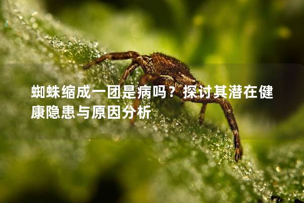 蜘蛛缩成一团是病吗？探讨其潜在健康隐患与原因分析