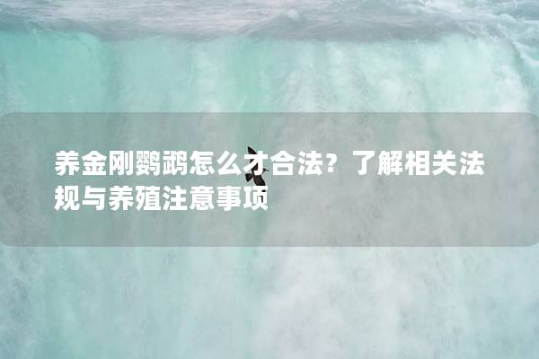 养金刚鹦鹉怎么才合法？了解相关法规与养殖注意事项