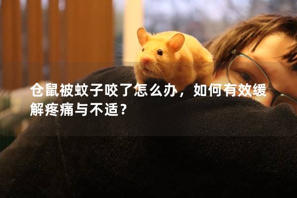 仓鼠被蚊子咬了怎么办，如何有效缓解疼痛与不适？