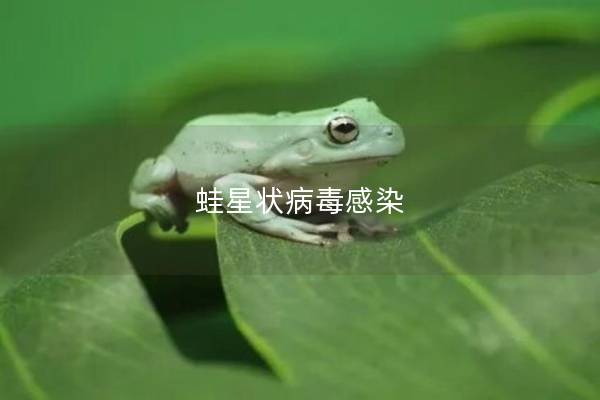 蛙星状病毒感染