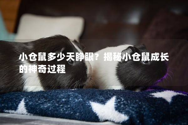 小仓鼠多少天睁眼?揭秘小仓鼠成长的神奇过程